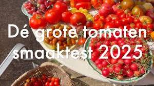 Afbeeldingsresultaat voor oranje van goeienbier tomato