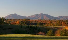 Image result for Bedford