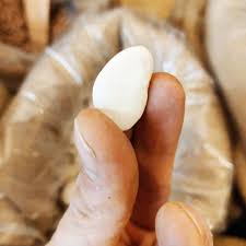 Image result for alubia grande