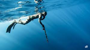 Image result for Deep and Wide Diving
