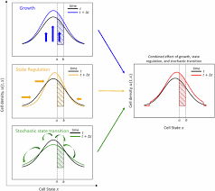 「 X t B   N X」の画像検索結果