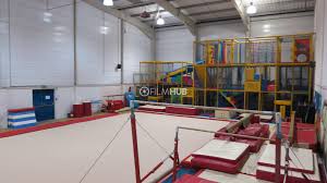 Image result for North East London Gymnastics Club