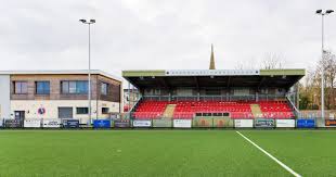 Image result for Dorking Wanderers F C