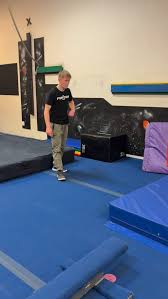 Image result for flip and twist