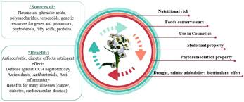 Attēlu rezultāti vaicājumam “Cinclidotus danubicus cells”