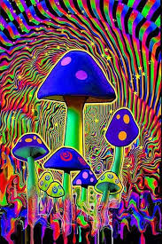 Image result for psychedelic posters