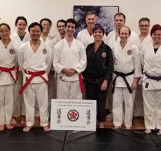 Image result for Derwent Jujitsu Academies