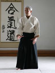 Image result for Goryukai Aikido Yoshinkan (Chichester)