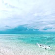 「ナジマ・ゲブール」の画像検索結果