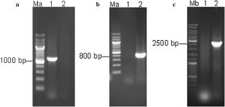 Image result for HTRPC