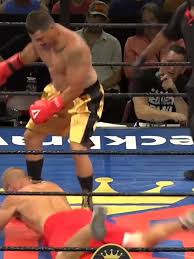 Image result for John Godwin's Hamilton Martial Arts