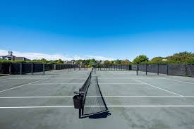 Image result for Lane Tennis Club Ltd