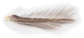 Attēlu rezultāti vaicājumam “Lyonetia prunifoliella”