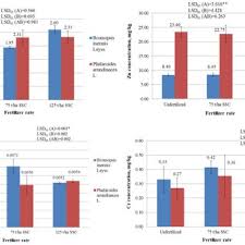 Attēlu rezultāti vaicājumam “Phalaroides arundinacea fruit”