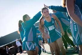 Image result for Ipswich Ladies Netball Club