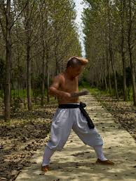 Image result for Bodyfit Martial Arts