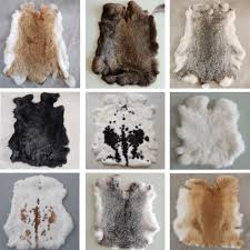 Image result for white rabbit skin texture