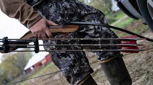 Image result for Burntwood Archers