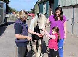 Image result for Blackpool & Fylde Horse Club