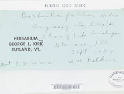 Attēlu rezultāti vaicājumam “Didymodon fallax var. brevifolius”