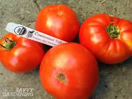 Afbeeldingsresultaat voor earl faux tomato