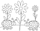 Bug coloring page