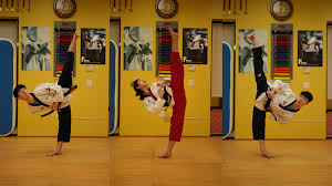 Image result for Kidderminster Tae Kwon Do Tigers