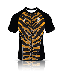 Image result for Luctonians Cricket Club