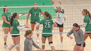 Image result for York University Volleyball Club