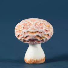 Attēlu rezultāti vaicājumam “Rhodotus palmatus”