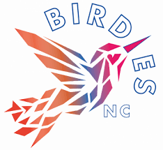 Image result for Kingfishers Netball Club