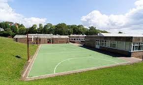 Image result for Crystal Palace Netball Club