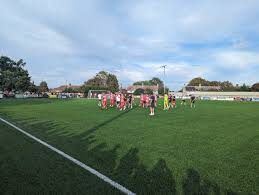 Image result for Upper Beeding Fc