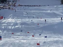 Image result for Sandown Sports Club