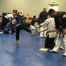 Image result for United Sport Karate