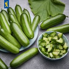 Image result for Gurke