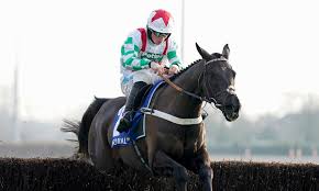 Image result for Fisher Equestrian