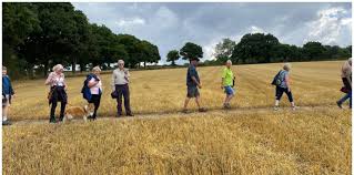 Image result for Mid Surrey Ramblers