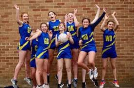 Image result for Blue Jays Netball Club
