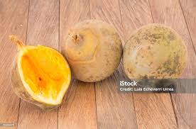 Attēlu rezultāti vaicājumam “Listera cordata fruit”