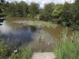 Image result for Fylde Boat Angling Club