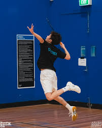 Image result for Sandringham Close Badminton Club