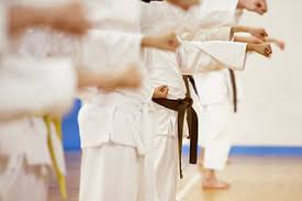 Image result for Fife Shotokan Karate Club