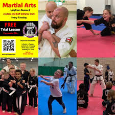 Image result for Leighton Buzzard Tae Kwon-Do Club