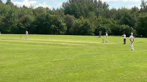 Image result for Hellingly Cricket Club