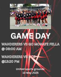 Image result for Willenhall Town Wanderers Netball Club