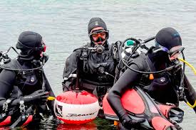 Image result for Eltham and District Sub Aqua Club