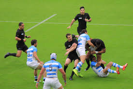 Image result for Wellington Rugby Football Club Limited