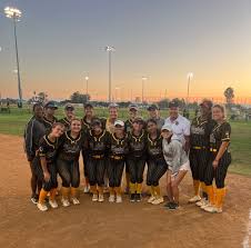 Image result for Cheetahs Softball Team