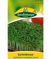 Image result for Gartenkresse
